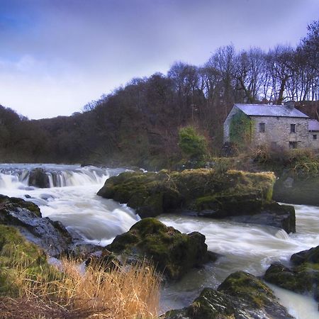 Garden Cottage Newcastle Emlyn Esterno foto