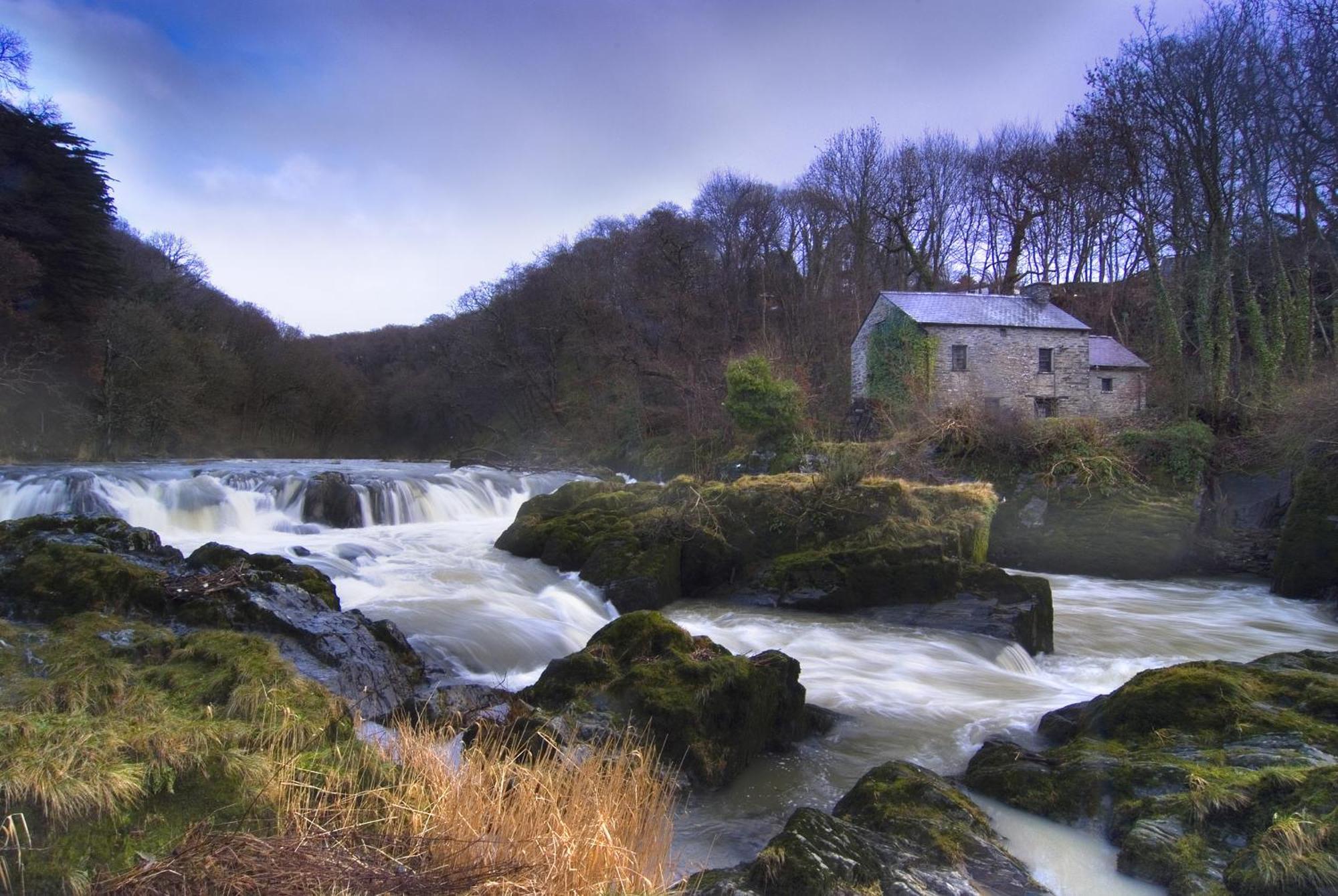 Garden Cottage Newcastle Emlyn Esterno foto